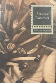 Botánica pintoresca