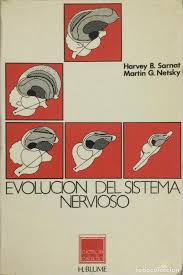 Evolución del Sistema Nervioso