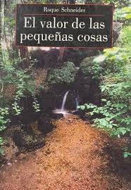 EL VALOR DE LAS PEQUEÑAS COSAS
