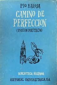 CAMINO DE PERFECCIÓN PASIÓN MÍSTICA
