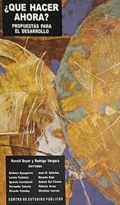 ¿Qué hacer ahora? Propuestas para el desarrollo