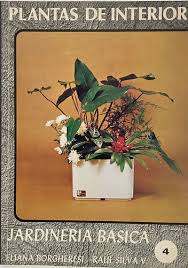 Plantas de interior (Jardinería básica 4)