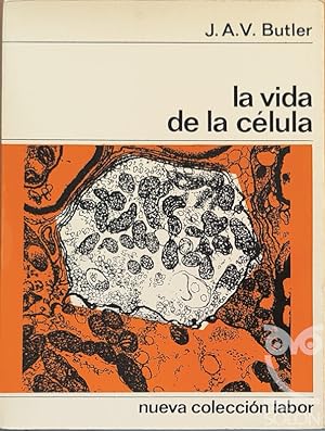 La vida de la célula