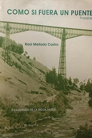 Como si fuera un puente : poesías