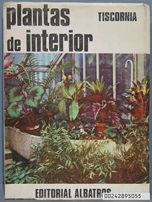 Plantas de interior