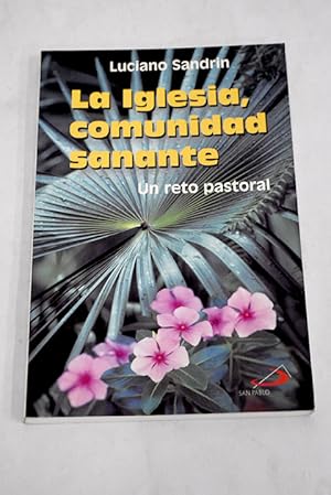 La Iglesia, comunidad sanante: un reto pastoral