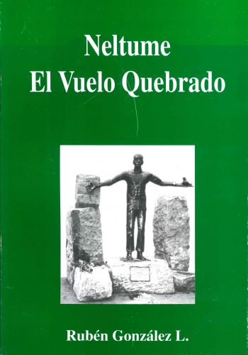 Neltume el Vuelo Quebrado