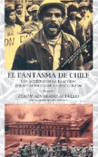 El fantasma de Chile: los aciertos de la reacción