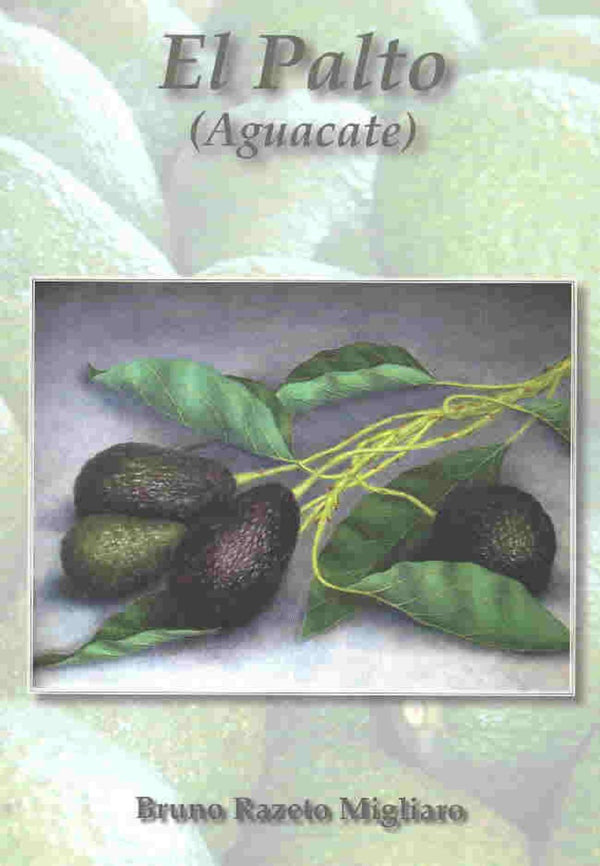 El palto; aguacate