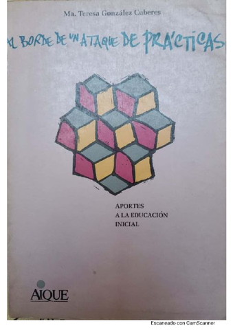 Al Borde de Un Ataque de Practicas: La Enseñanza: Construccion E Interaccion
