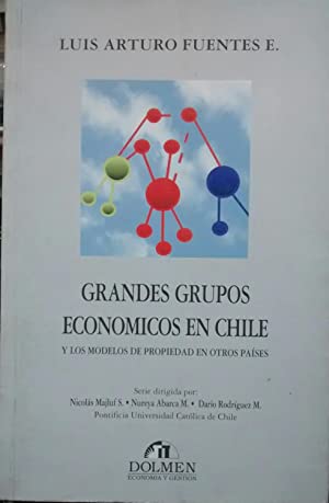 Grandes Grupos Economicos En Chile Y Los Modelos De Propiedad En Otros Paises