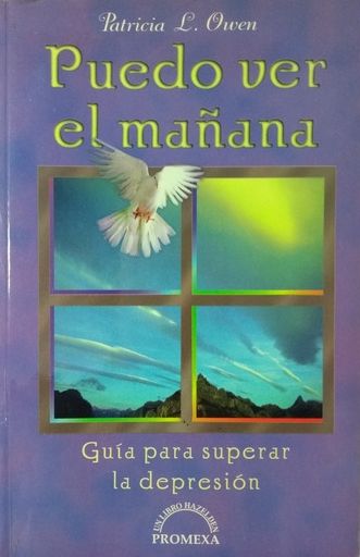 Puedo Ver El Mañana
