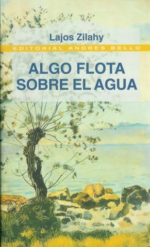 Algo Flota Sobre El Agua