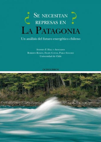 ¿Se necesitan represas en la Patagonia?