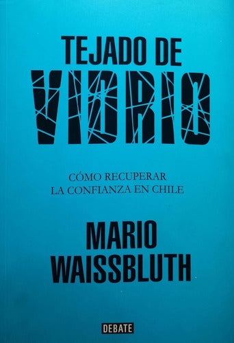 Tejado De Vidrio, La Reconstruccion De La Confianza En Chil