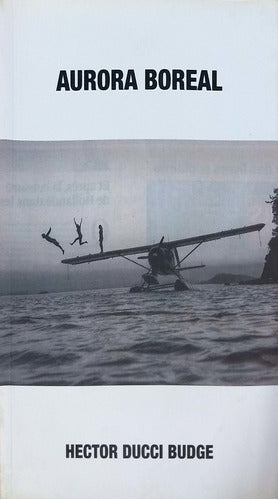 Aurora Boreal By Hector Ducci Budge